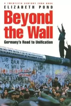 Image of Beyond the wall by Elizabeth Pond