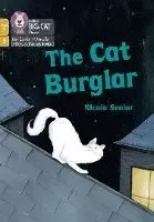 Image of The Cat Burglar by Nicola Senior