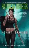 Image of night broken