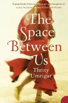 Image of The Space Between Us