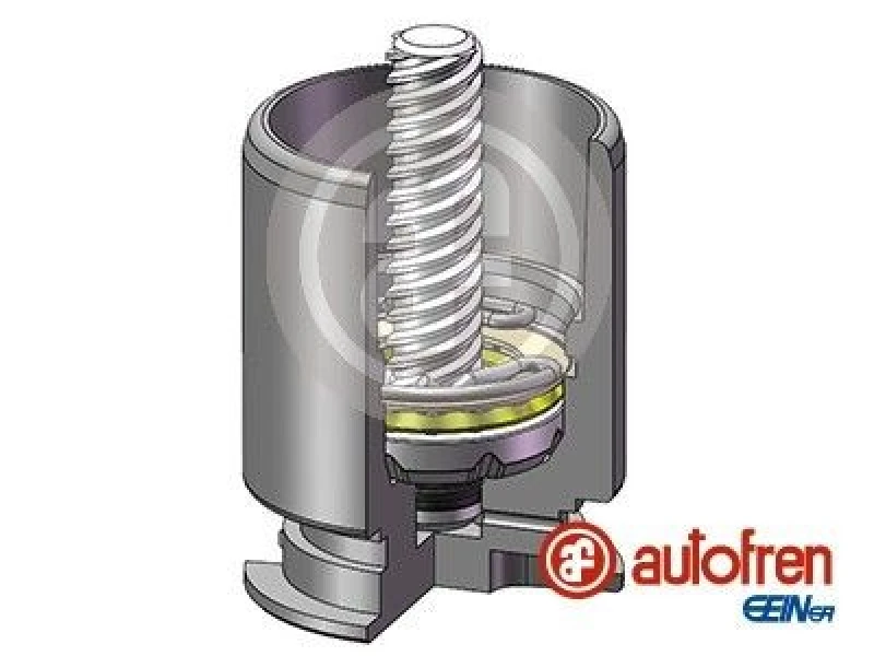 Image of AUTOFREN SEINSA Brake caliper piston AUTOFREN SEINSA D02554RK