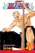 Image of bleach vol 23
