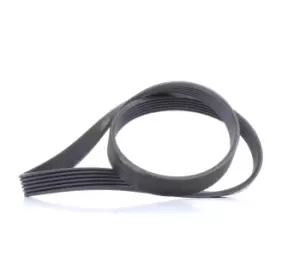 Image of CONTITECH V-ribbed belt FORD,MAZDA 6PK1019 ELAST 1143407,1684973,1692106 Serpentine belt,Auxiliary belt,Poly V-belt,Ribbed belt,Multi V-belt,Poly belt