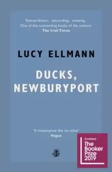 Image of Ducks, Newburyport