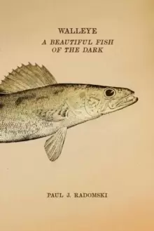 Image of Walleye : A Beautiful Fish of the Dark