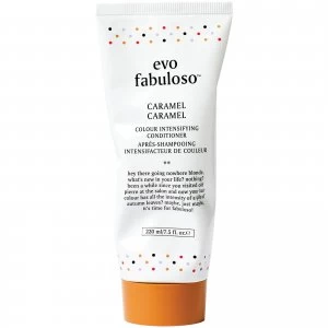 evo Fabuloso Colour Boosting Conditioner/Treatment - Caramel 220ml