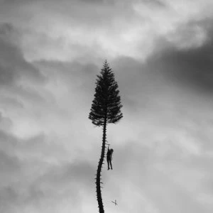Image of A Black Mile to the Surface by Manchester Orchestra CD Album