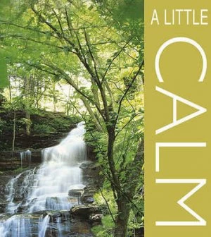 Image of A Little Calm by David Holzer Book