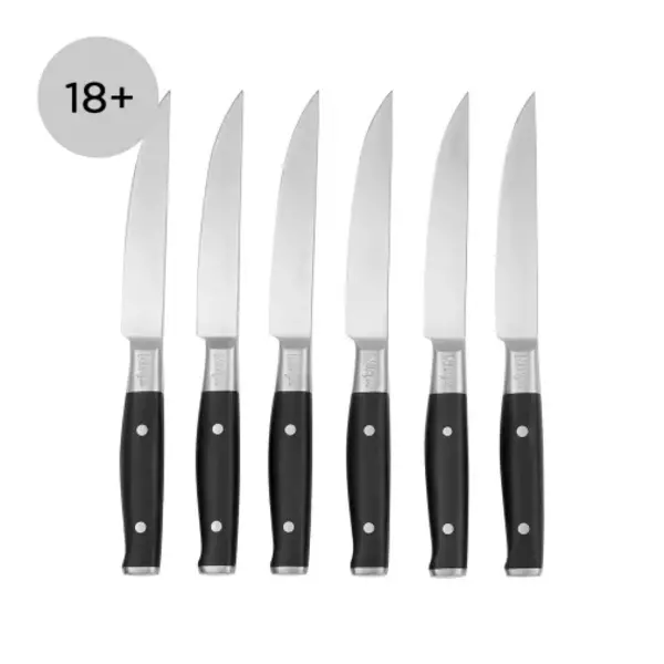 image of Ninja Foodi Stay Sharp Steak Knives 6x Piece Set K32106UK