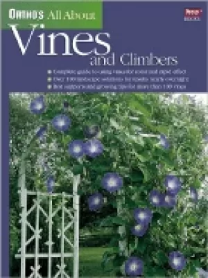 Image of orthos all about vines and climbers