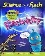 Image of Science in a Flash: Electricity