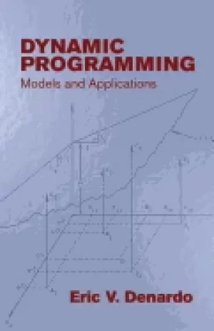 Image of dynamic programming models and applications