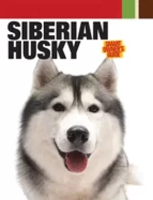 Image of siberian husky in depth breed profile history tips and expert advice on ado