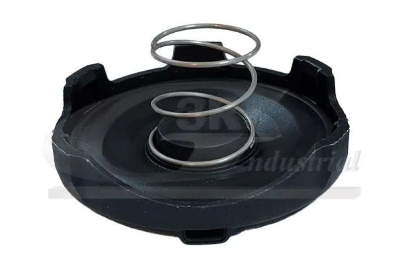 Image of 3RG Valve, engine block breather 3RG 48109