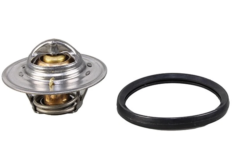 Image of Thermostat METZGER 4006389
