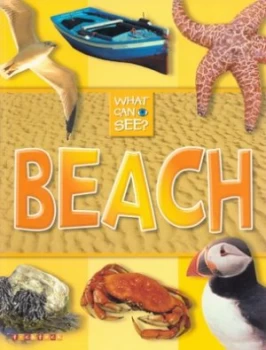Image of Beach Book
