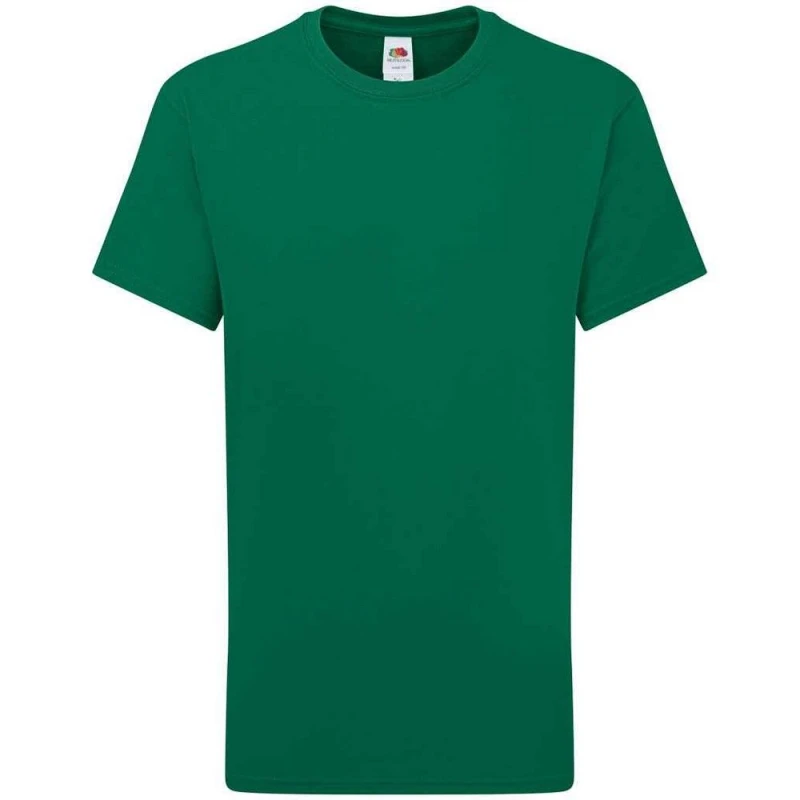Image of Fruit Of The Loom Iconic 195 Premium boys's in Green