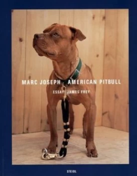 Image of American Pitbull by James Frey Paperback