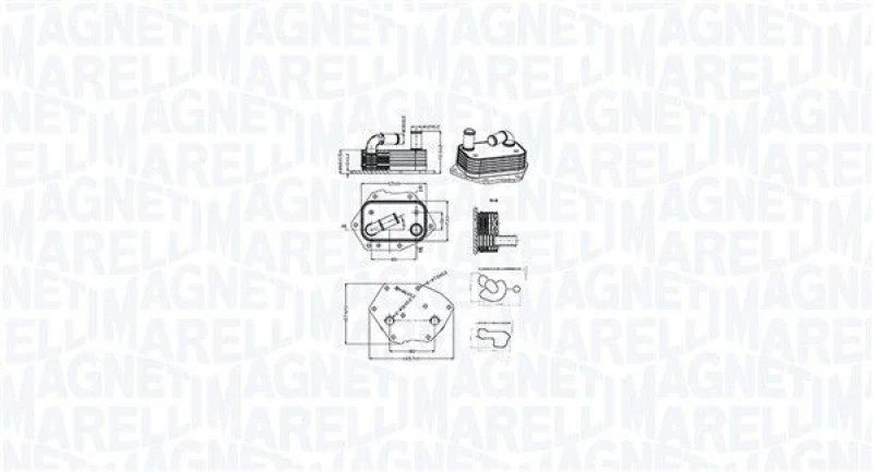 Image of MAGNETI MARELLI Engine oil cooler MAGNETI MARELLI 350300002600
