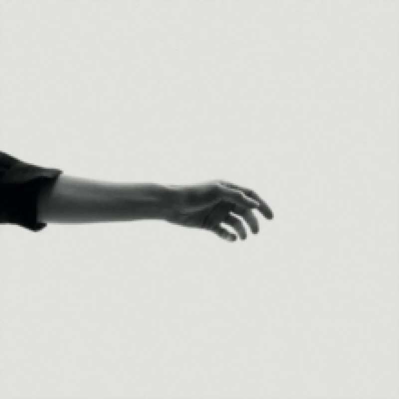 Image of Limbs CD / Album