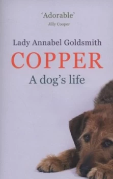 Image of Copper by Lady Annabel Goldsmith Book