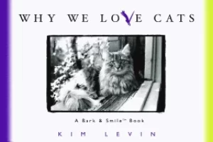 Image of why we love cats