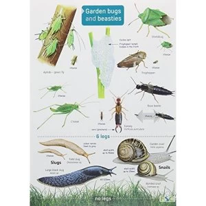 Image of Garden Bugs and Beasties Fold-out book or chart 2014