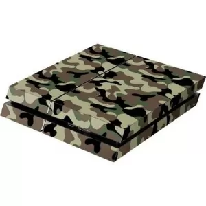 Image of Software Pyramide PS4 Skin