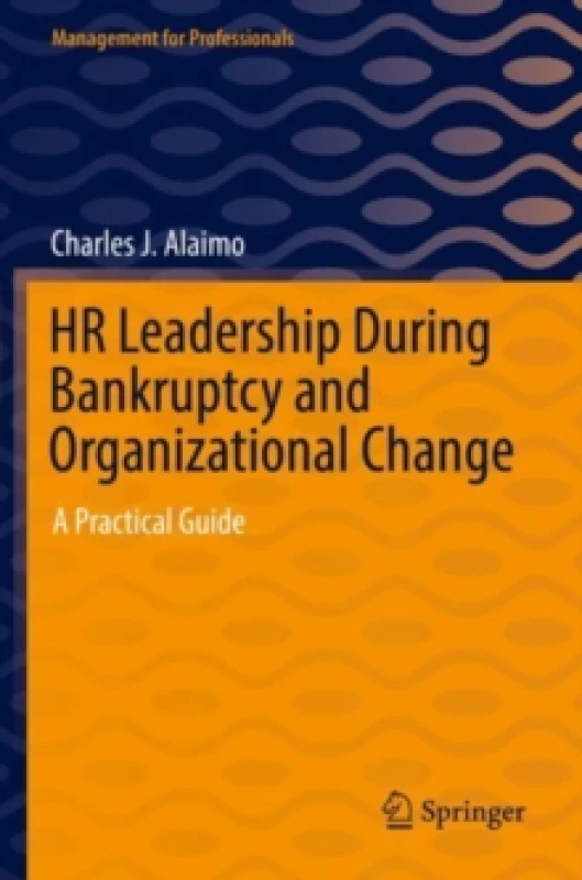 Image of HR Leadership During Bankruptcy and Organizational Change : A Practical Guide Paperback / softback