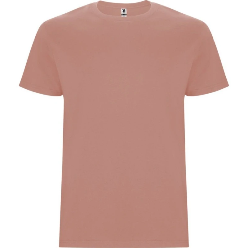 Image of ROLY ROLY Men Stafford T-Shirt in Terracotta Size: Small Terracotta S Male 5063527411877