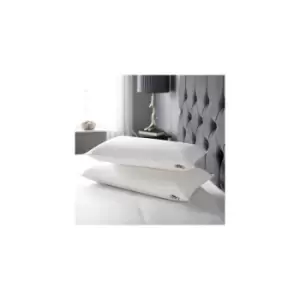 Image of Superior Comfort Natural Latex Breathable with 100% Cotton Removeable Cover dEEP - White - Relyon