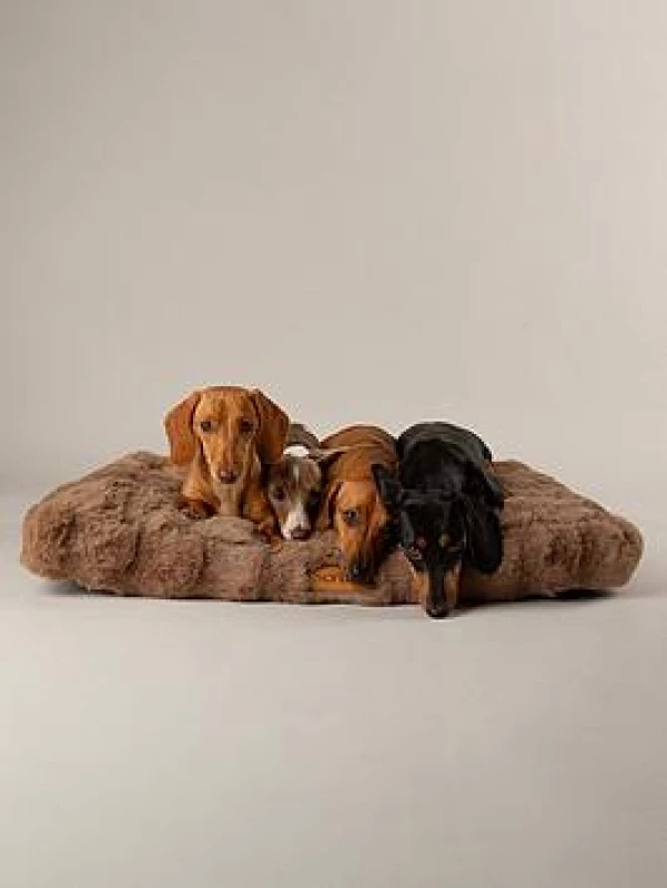 Image of Scruffs Alpine Dog Bed Mattress Large Taupe BED/RCD/829801