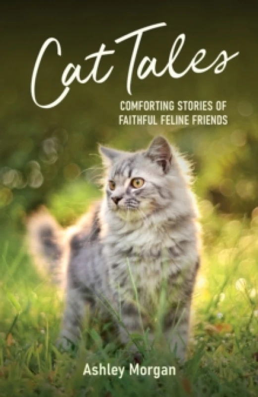 Image of Cat Tales : Comforting Stories of Faithful Feline Friends Paperback / softback
