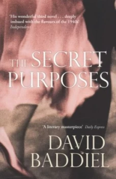 Image of The Secret Purposes by David Baddiel Paperback