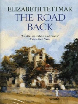 Image of The Road Back by Elizabeth Tettmar Hardback