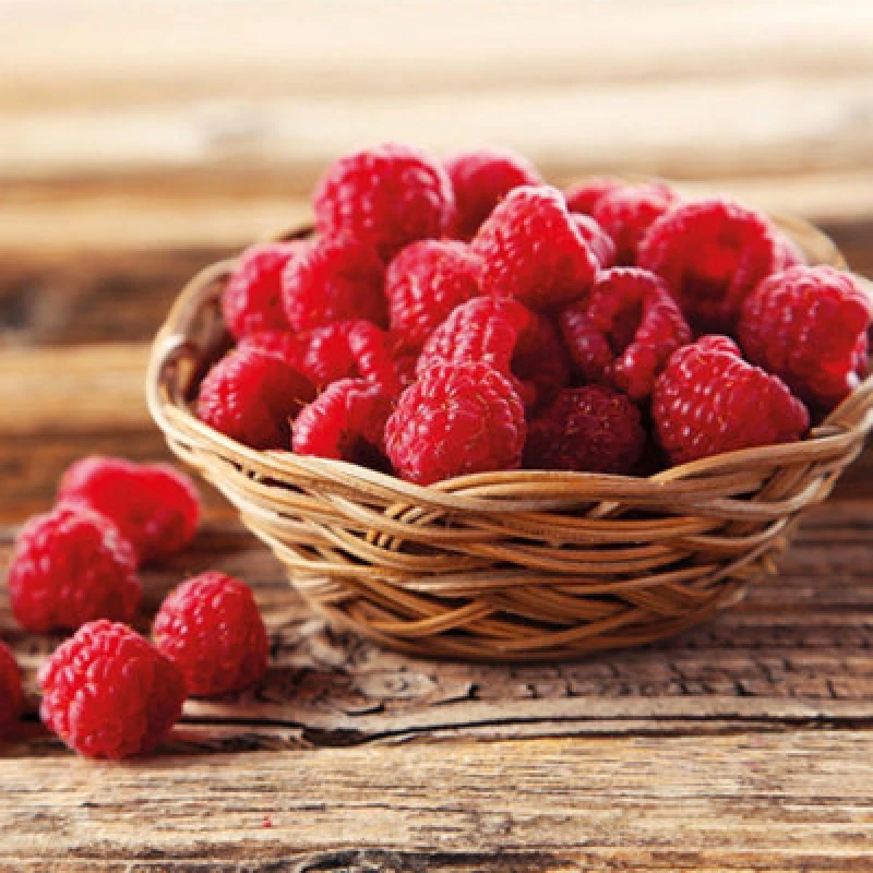 Image of Thompson & Morgan Fruit Raspberry (Rubus Idaeus) Autumn Bliss 3 Canes X 4 + Large Patio Potted Plant (24 Litre) (39Cm) & Saucer X 4