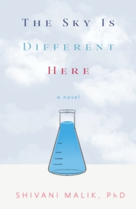 Image of The Sky is Different Here : A Novel Paperback / softback