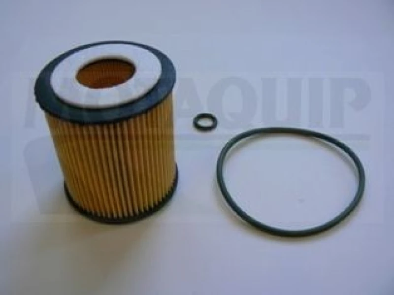 Image of MOTAQUIP Oil filter MOTAQUIP VFL497