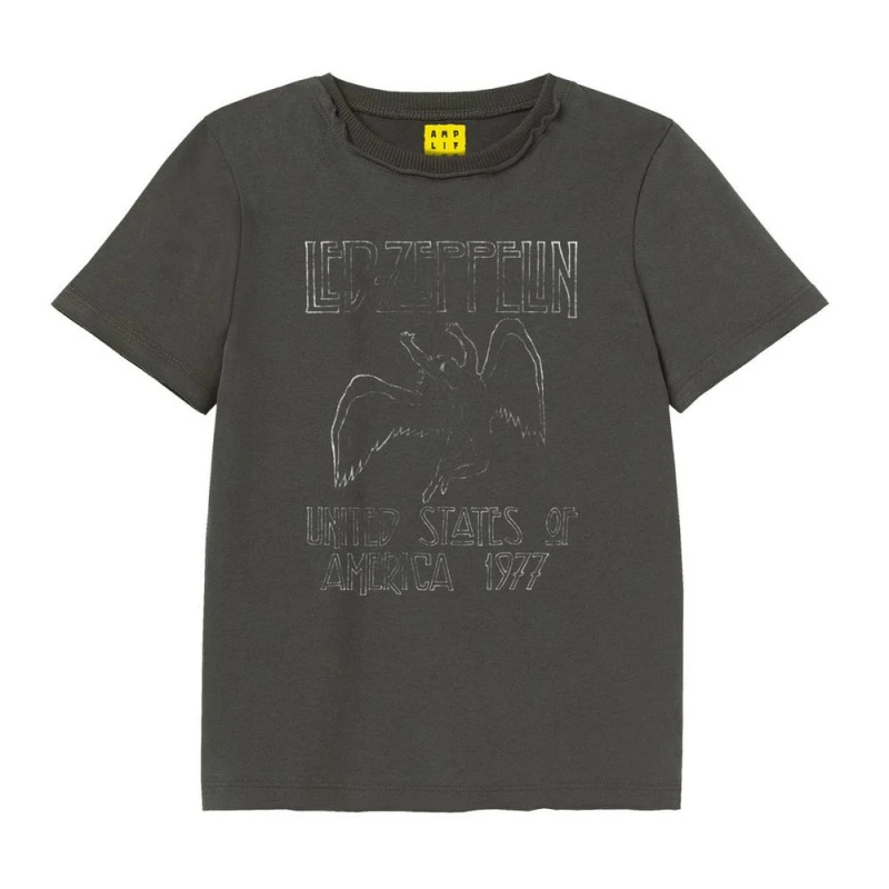 Image of Amplified Clothing GD863 boys's Children's T shirt in Multicolour