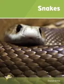 Image of Snakes : Set 1