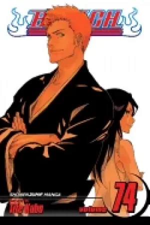 Image of bleach vol 74