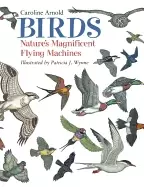 Image of birds natures magnificent flying machines