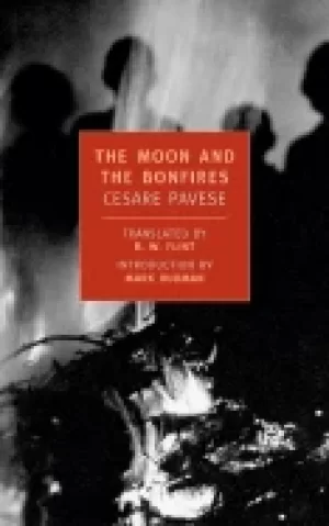 Image of moon and the bonfires