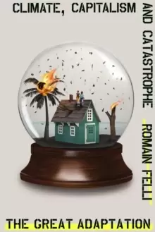 Image of The Great Adaptation : Climate, Capitalism and Catastrophe