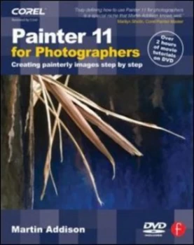 Image of Painter 11 for Photographers by Martin Addison Book