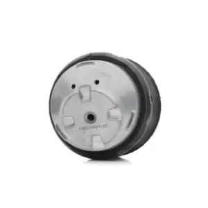 Image of RIDEX Engine mount MERCEDES-BENZ 247E0086 2022400217,2022401117,2022401717 202240171798,A2022400217,A2022401117,A2022401717,A202240171798
