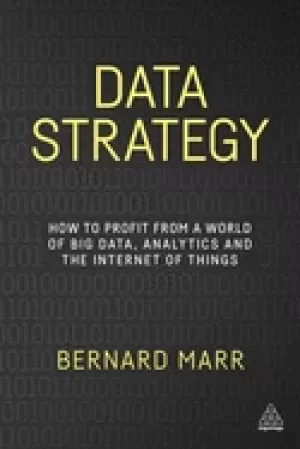Image of data strategy how to profit from a world of big data analytics and the int