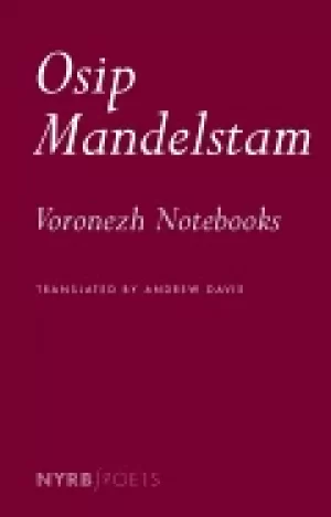 Image of voronezh notebooks