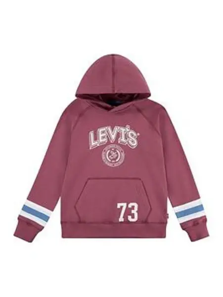 Image of Teenager Stripe On Sleeve Hoodie - Purple / Roan Rouge