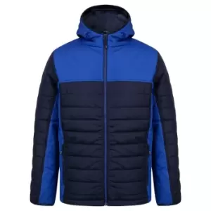 Image of Finden & Hales Mens Contrast Padded Jacket (XXL) (Navy/Royal Blue)